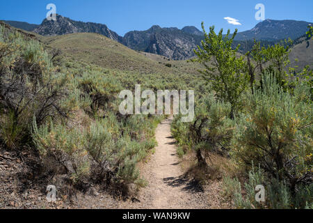 Dirt hiking trail leads to Goldbug Hot Springs (Elk Bend) in the Sawtooth Mountains in Idaho Stock Photo