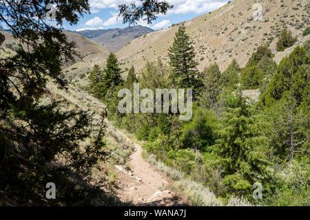 Dirt hiking trail leads to Goldbug Hot Springs (Elk Bend) in the Sawtooth Mountains in Idaho. Woman hiker in distance Stock Photo