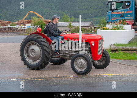 Man Rucksack Driving 1958 Vintage Red Grey Massey Ferguson Tractor male offside drivers side view Holy Loch Marina 1 pers Stock Photo Alamy