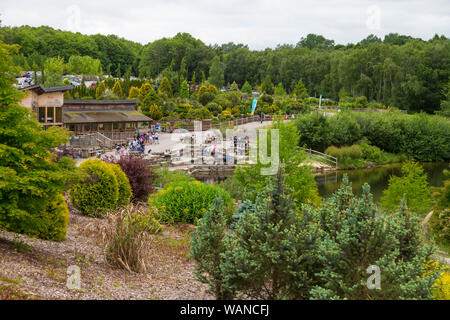 Bedgebury national pinetum and forest, lady oak lane, goudhurst, kent, uk Stock Photo