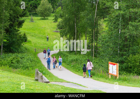 Bedgebury national pinetum and forest, lady oak lane, goudhurst, kent, uk Stock Photo