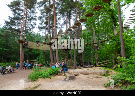 Go Ape at bedgebury national pinetum and forest, lady oak lane, goudhurst, kent, uk Stock Photo