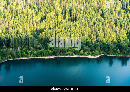 Summer sunset is lighting up the forest by the mountain lake in WA Stock Photo