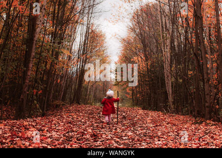 Little girl walks outdoors in leaves with a stick on a fall day Stock Photo