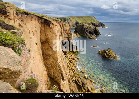 Sea Thrift on rock wall of Carn Greeb looking to Enys Dodnan rock arch and Pordenack Point at Land's End Cornwall most westerly point of England Stock Photo