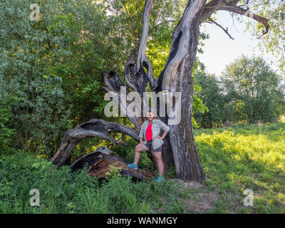 Woman on  huge, cracked tree trunk on the yellow trail that runs along the Vistula River. Natura 2000 areas. The Świderskie Island Reserve. Poland. Stock Photo