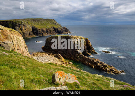 Sea Thrift on field sloping to the Atlantic Ocean with Enys Dodnan rock arch and Pordenack Point at Land's End Cornwall England Stock Photo