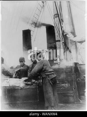 Cutting in a sperm whale. Mincing the blubber ready for the trying out Stock Photo