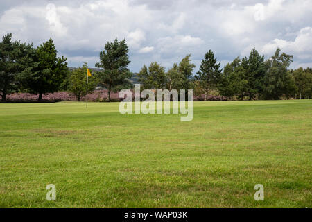 Putting green on a heath land golf course in West Yorkshire in late summer with flowering heather in the background Stock Photo