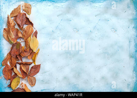 Fall concept on bright background. Autumn leaves with copy space Stock Photo