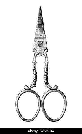 Antique scissors hand draw vintage style black and white clip art isolated on white background,Vintage scissors rare item Stock Vector