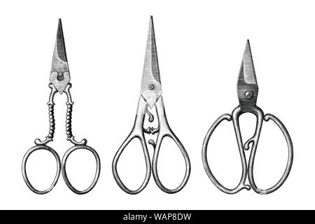 Collection of antique scissors hand draw vintage style black and white clip art isolated on white background,Vintage scissors rare item Stock Vector
