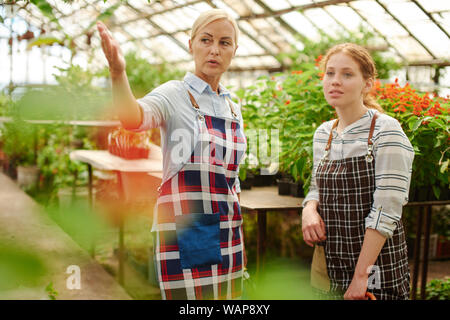 Two female gardeners discuss plants they grow in the greenhouse. Stock Photo