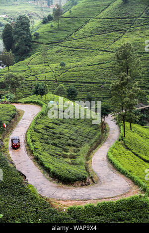 Tuk Tuk driving on a curvy road in tea plantage, Nuwara Ellia, Sri Lanka, Ceylon Stock Photo