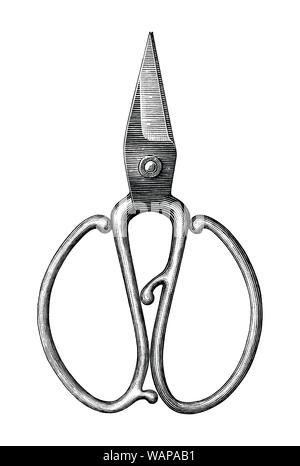 Antique scissors hand draw vintage style black and white clip art isolated on white background,Vintage scissors rare item Stock Vector