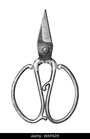 Antique scissors hand draw vintage style black and white clip art isolated on white background,Vintage scissors rare item Stock Vector