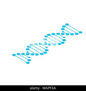 DNA symbol strand Isolated on white background Stock Vector