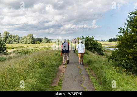 2 middle aged male's walking their dogs along a popular river path, River Deben, Suffolk Stock Photo