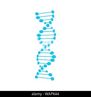 DNA symbol strand Isolated on white background Stock Vector