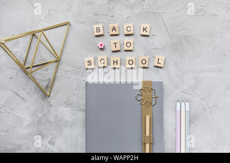 Words BACK TO SCHOOL, notebook, pencil and pens on a gray background. Education or studying concept, flat lay, top view, social media hero header temp Stock Photo