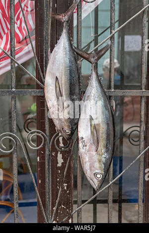 Fish Hanging on an Entrance in Havana, Cuba Stock Photo