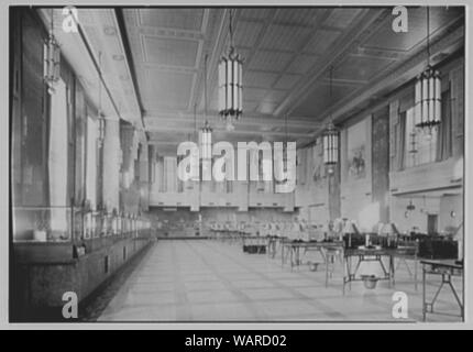 Dollar Savings Bank, 2516 Grand Concourse, Bronx. Stock Photo