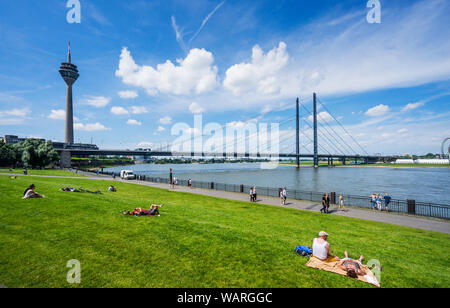 sunseekers on the meadows of Apollo Wiese on the banks of River Rhine with view of the Rheinkniebrücke and Rheinturm telecommunications tower. Düsseld Stock Photo