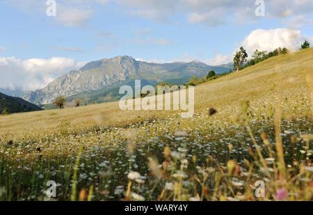 Madrid. 20th Aug, 2019. Photo taken on Aug. 20, 2019 shows the scenery of Picos de Europa National Park in Spain. Credit: Guo Qiuda/Xinhua/Alamy Live News Stock Photo