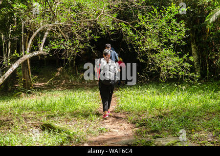 Group of friends photographer walking in the forest with backpack camera and tripod. Stock Photo