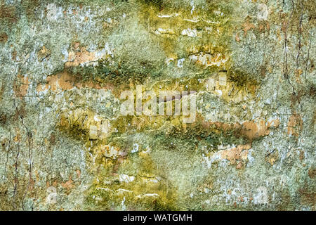 Vintage style, painted wall texture, large concrete wall background, stone, red, garage wall, house construction. Old, decayed wall with peeling plast Stock Photo