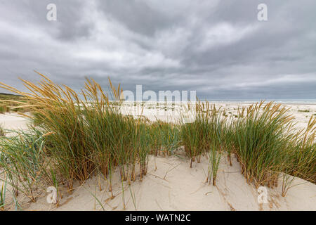 Clouds over the beach on Juist, East Frisian Islands, Germany. Stock Photo