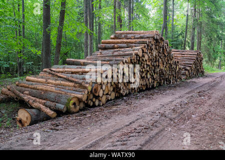 Area of illegal deforestation of vegetation in the forest. Cut the tree and wooden trunks from the forest. A pile of cut wood near the forest. Concept Stock Photo