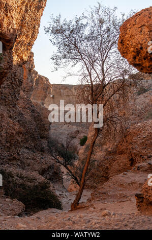 Impression of Sesriem Canyon, in the Hardap region of Namibia, during sunset. Stock Photo