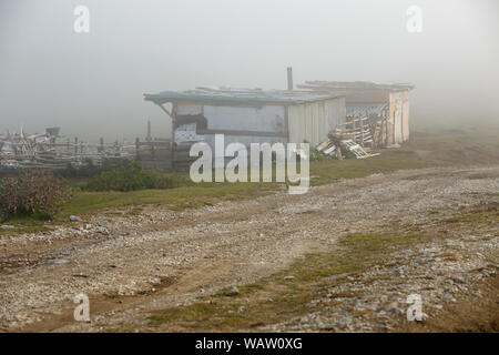 Photo of old barn in field, gloomy sky on summer day Stock Photo