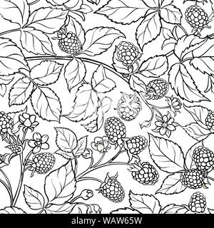 boysenberry vector pattern on white background Stock Vector