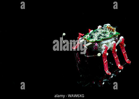 Electronic toy bug insect with antennas with electric circuit board on it's back, conceptual image about cyber security Stock Photo