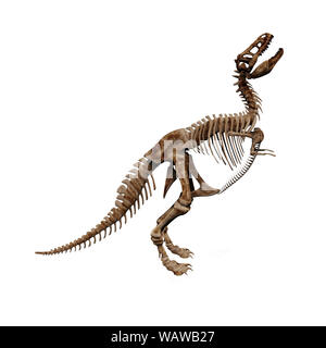 Rendering of t-rex skeleton on white background. Stock Photo