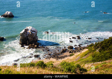 Views of the forest and bay from San Francisco's Lands End. Stock Photo
