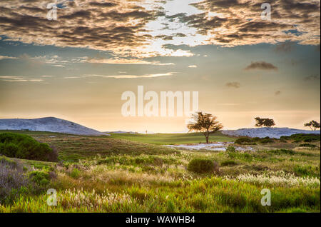 Golf course on the famous 17 mile drive near Pebble Beach, California. Stock Photo