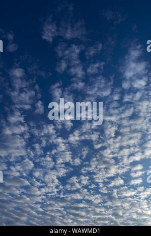 Large altocumulus clouds, Bavaria, Germany Stock Photo