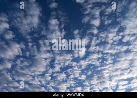 Large altocumulus clouds, Bavaria, Germany Stock Photo