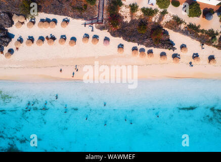 Aerial view of umbrellas, trees on the sandy beach at sunset