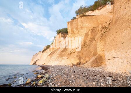 Baltic Sea and chalk cliffs in the morning light, steep coast, Mons Klint, island Mon, Klint, Denmark Stock Photo