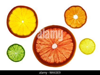 Transparency sliced colorful fruits on white background. Rings of grapefruit, lemon, tangerine and orange Stock Photo