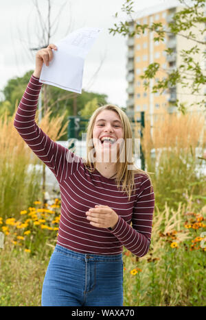 Guide to GCSE results for England, 2019 