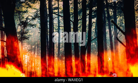 Raging pinewood forest fire - digital composite. Stock Photo