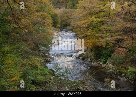 Afon (River) Mawddach flowing through the Coed-y-brenin forest in autumn near Ganllwyd near Dolgellau Snowdonia National Park Wales UK October 2017 Stock Photo