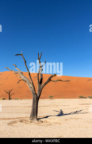 Nature, Landscape, Namibia, Namib, Dersert, Namib Desert, Dune, Red Dune, Sossusvlei, 30077654 Stock Photo