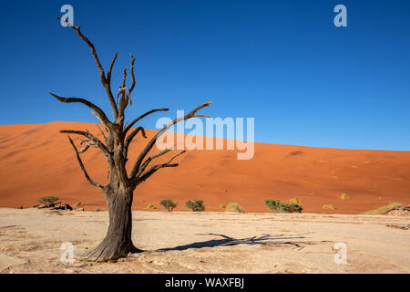 Nature, Landscape, Namibia, Namib, Dersert, Namib Desert, Dune, Red Dune, Sossusvlei, 30077657 Stock Photo