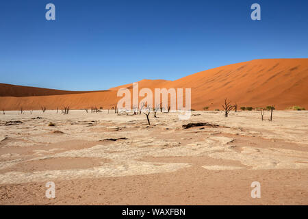 Nature, Landscape, Namibia, Namib, Dersert, Namib Desert, Dune, Red Dune, Sossusvlei, 30077653 Stock Photo